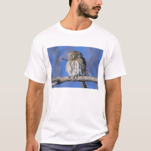 Camiseta Zimbábue. Close-up da coruja manchada de pérola