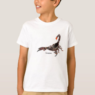 Camisetas