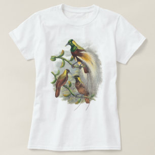 Camisetas de aves de raça branca