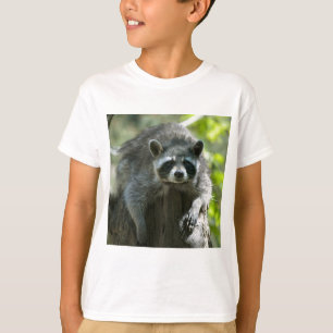Camisetas de Guaxinim