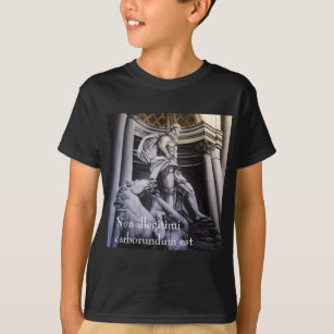 Camisetas do Roman Hero