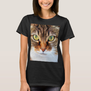 Camisetas e camisetas de roupas de gato grande