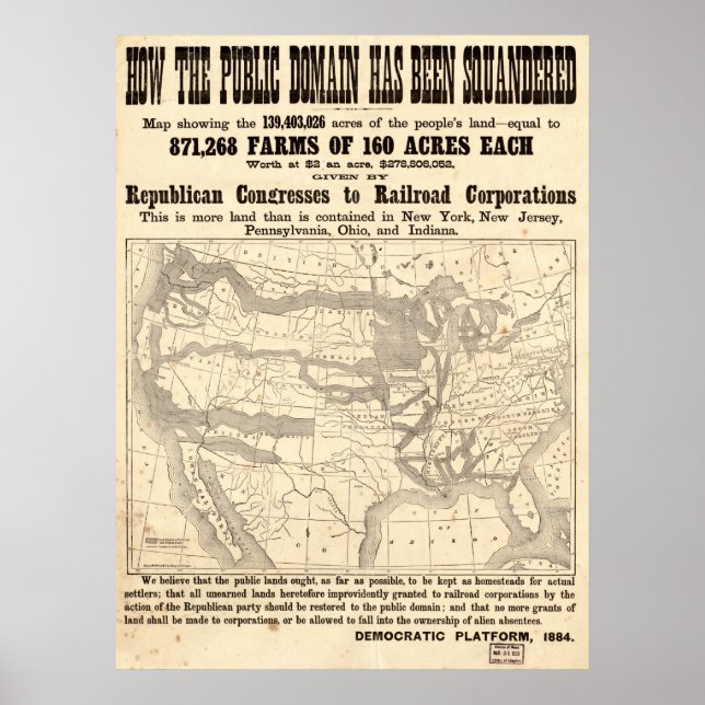 Campanha política de plataforma democrática Poster (Frente)