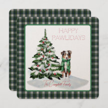 Campbell Dress Modern Tartan Happy Pawlidays Dog