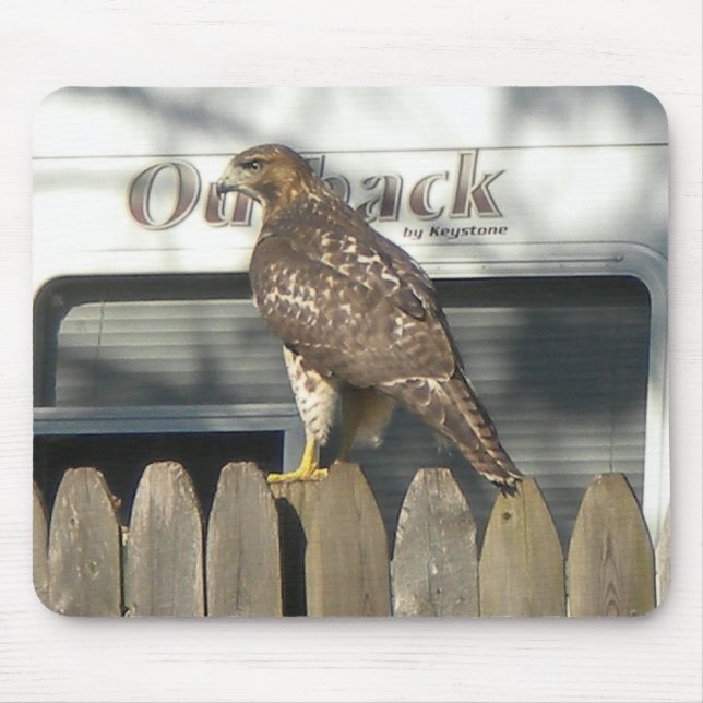 Camping Hawk mousepad (Frente)