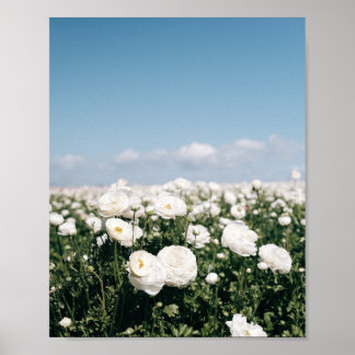 Campo branco de flores - impressão de pôster