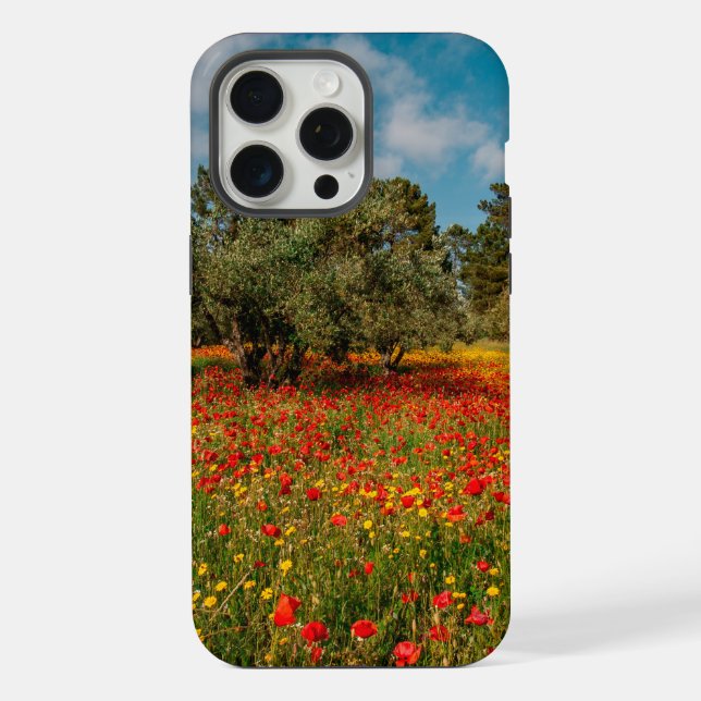 campo com flores e árvores (Verso)