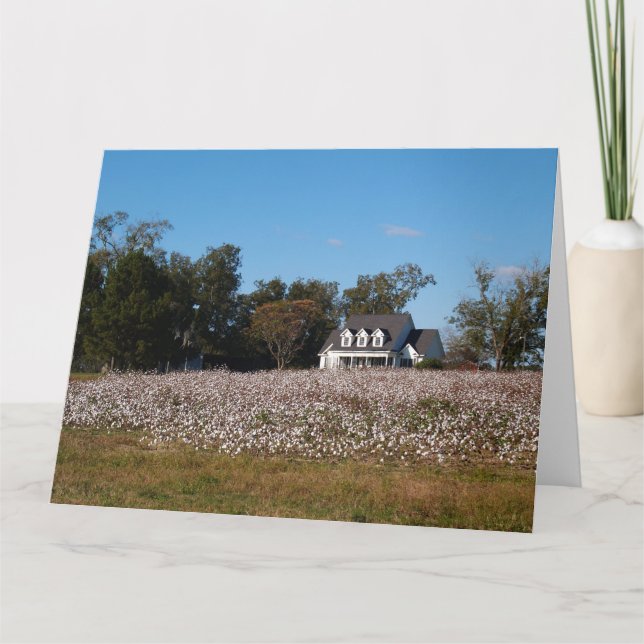 Campo de algodão na Geórgia com cartão doméstico (Frente)