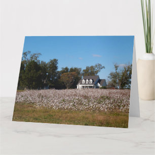 Campo de algodão na Geórgia com cartão doméstico