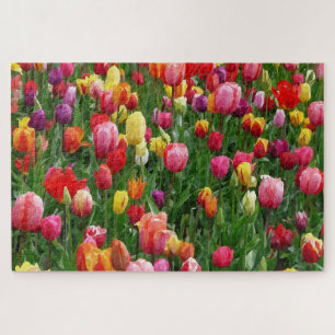 Campo de Aquarela de Tulips 1014 pc Quebra-cabeça