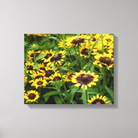 Campo de Canvas de Flores de Olhos de Tigre