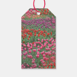 Campo De Etiquetas De Presente De Tulipas