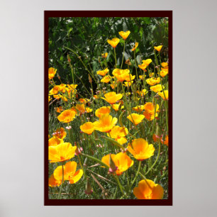 Campo de grandes posters e impressões das papoila