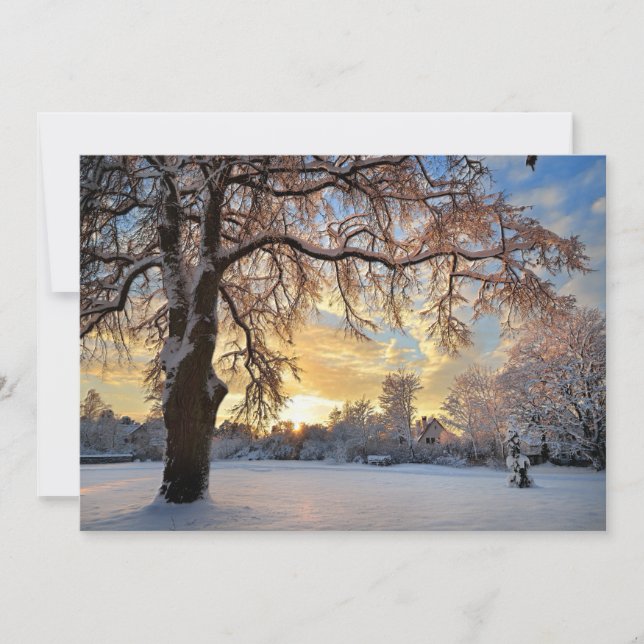 Campo De Inverno Na Letónia (Frente)