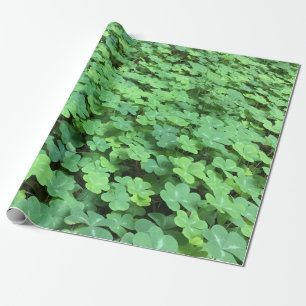 campo de papel de embrulho