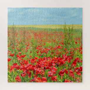 Campo De Poppies Quebra-cabeça