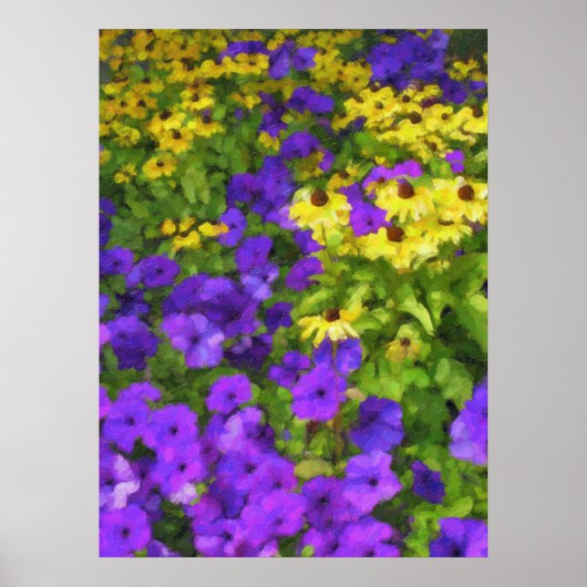 Campo de Poster de Cores (Frente)