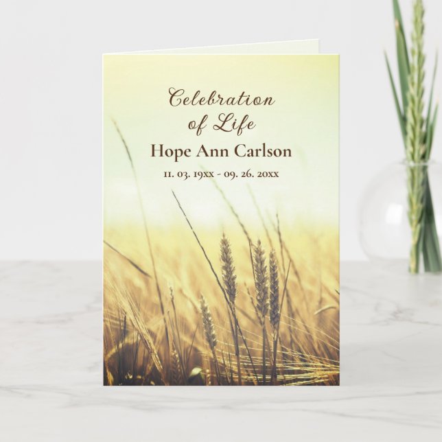 Campo de Trigo do Programa Memorial Funeral (Frente)