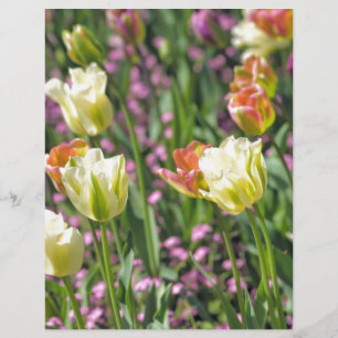 Campo de tulipas