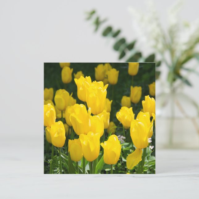 Campo de tulipas amarelas brilhantes (Em pé/Frente)