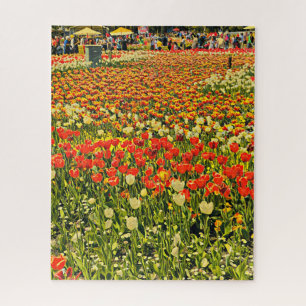 Campo de tulipas quebra-cabeça
