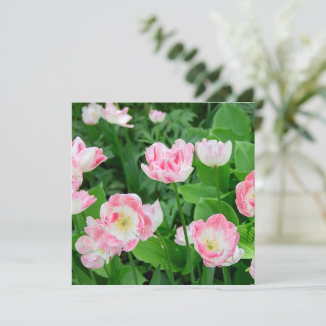 Campo de tulipas rosa (Em pé/Frente)