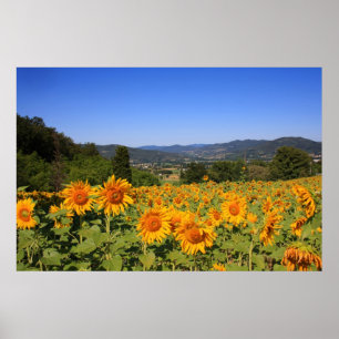 Campo de Umbrian - impressão de Italia