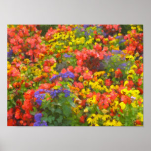 Campo do poster das flores