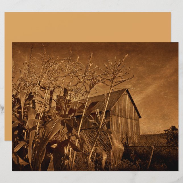 Campo Russo Vintage Fazenda Castanho Textura (Frente/Verso)