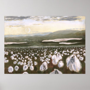 Campos de Impressão de algodão árctico