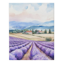 Campos de lavanda lindos