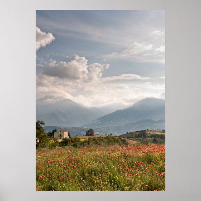 Campos de papoila na Itália Poster (Frente)
