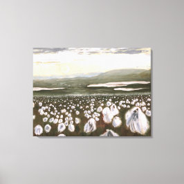 Campos do Algodão Ártico: Padrão de Impressão de T