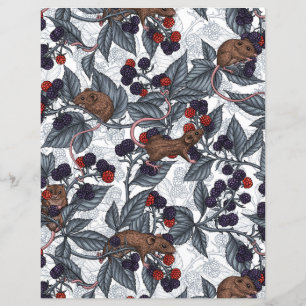 Camundongos e amoras-negras em branco