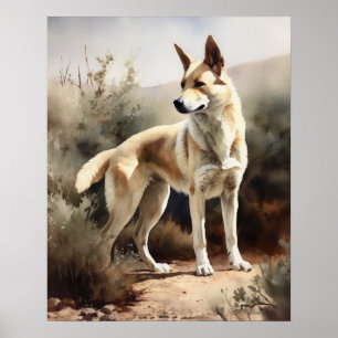 Canaan Dog Art Impressão