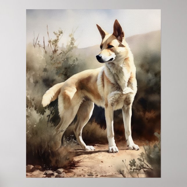 Canaan Dog Art Impressão (Frente)