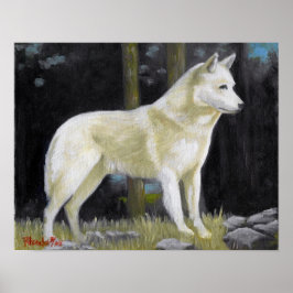 Canaan Dog Portrait Poster Impressão