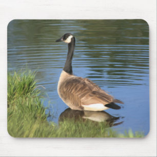 Canada Goose Animal Art Mousepad