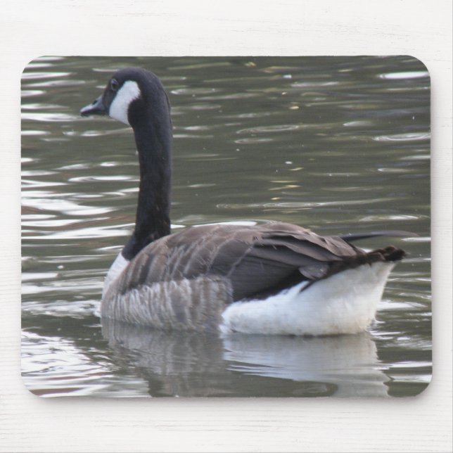 Canadá Goose Mousepad (Frente)