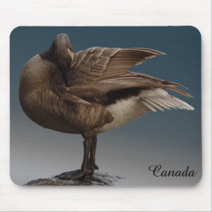 Canadá Goose Mousepad Dourado Canadá Mouses pads