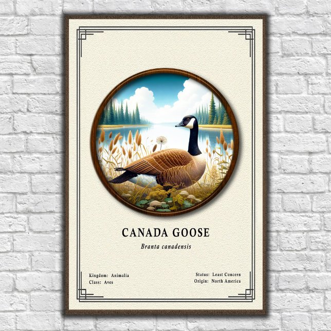 Canada Goose Zoology Series Poster (Criador carregado)