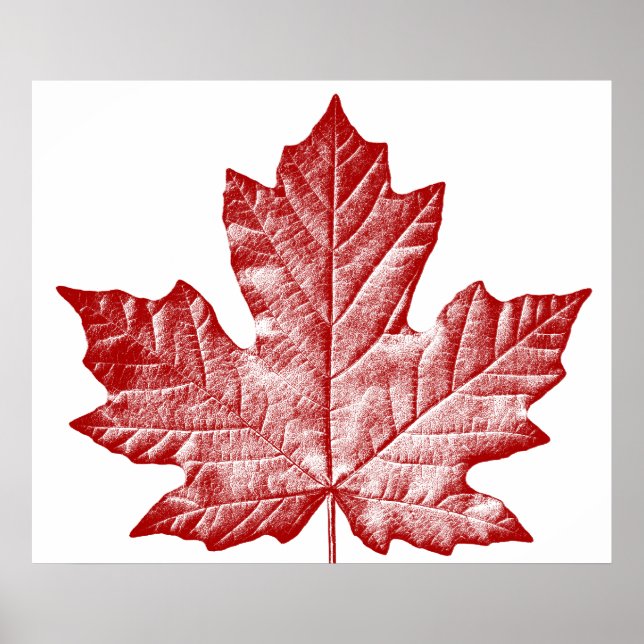 Canadá Poster Canadá Maple Leaf Souvenir Impressão (Frente)
