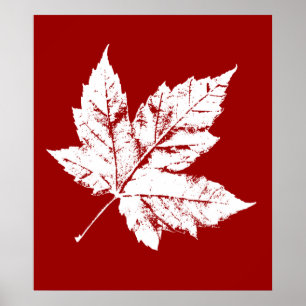 Canadá Poster Canadá Maple Leaf Souvenir Impressão