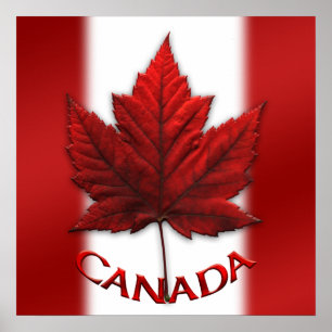Canadá Poster Canadá Sinalizar Impressões e pre