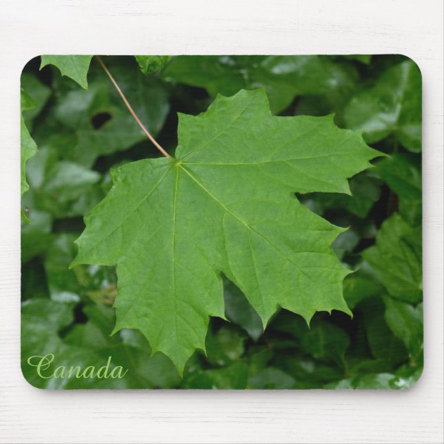 Canadá Souvenir Mousepad Canada Maple Leaf Gifts (Frente)