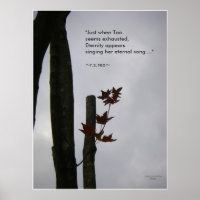 Canção Eterna da Vida: Nature Zen/Tao Poster