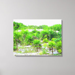 CANCUN, MÉXICO #14 CANVAS PRINT