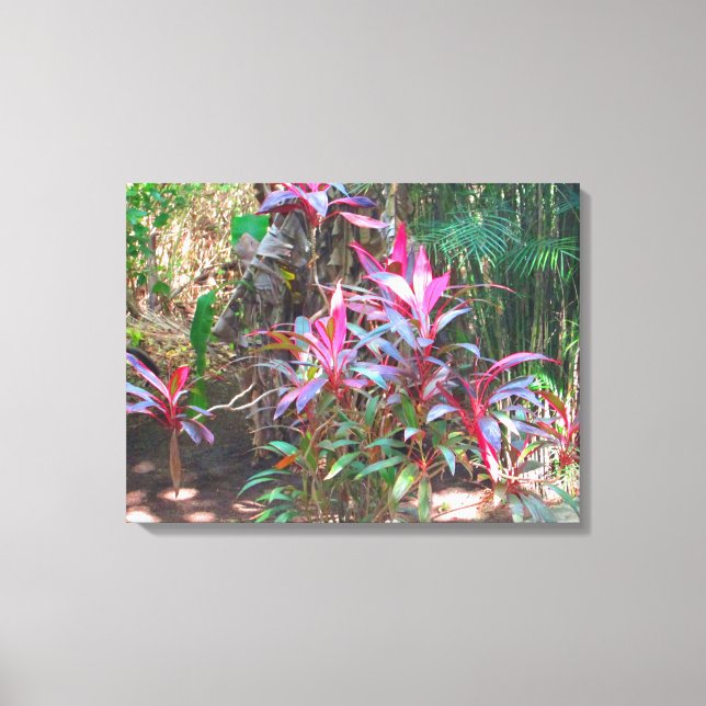CANCUN, MÉXICO #18 CANVAS PRINT (Frente)
