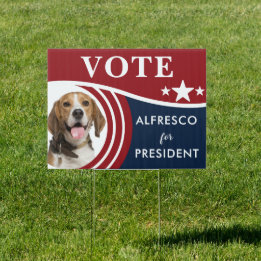 Candidato à Eleição Presidencial 2024 Foto Pet Dog