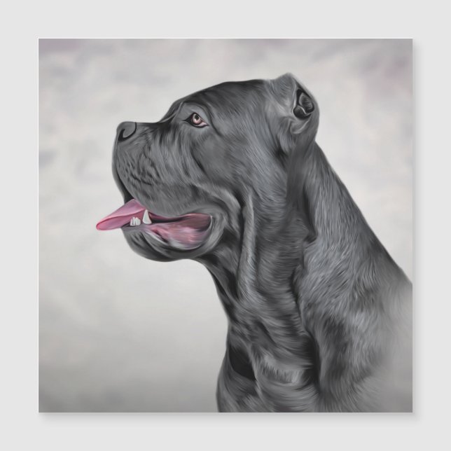 Cane Corso - Mastiff Italiano 12 (Frente)